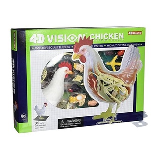 4D MASTER Vison模型/ 半透視雞/ 26003 eslite誠品