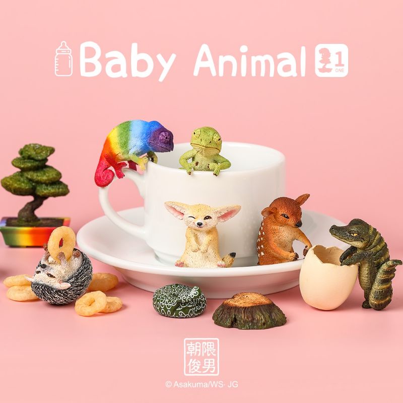 朝隈俊男 baby animal 耳廓狐 鹿 刺蝟 變色龍 盒玩