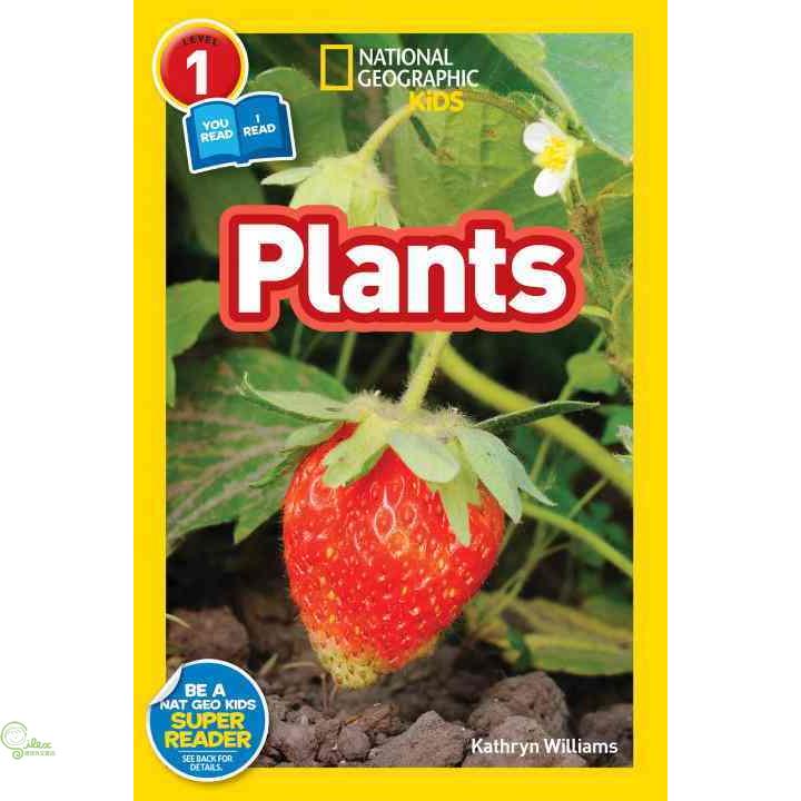 Plants