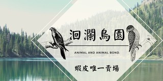 洄瀾鳥園官方賣場 線上商店 蝦皮購物