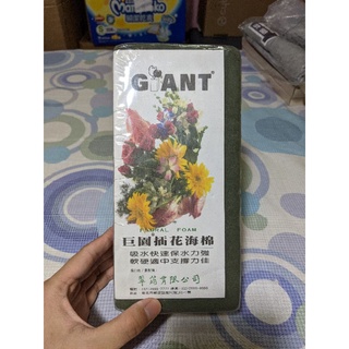 巨園插花海綿 giant floral form #730