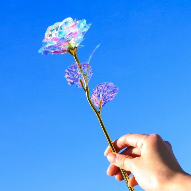 微音樂 現貨水晶玫瑰花禮盒hologram Rose Flower Gift Package 防彈少年團bts 蝦皮購物