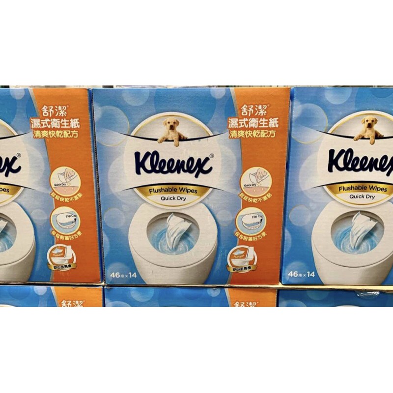 🈶️現貨拆賣一包48元‼️ KLEENEX 舒潔濕式衛生紙46抽