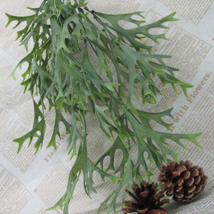 樂提小舖 鹿角蕨鹿角草假藤蔓裝飾植物假草塑膠藤蔓裝飾草塑膠草草牆人造植生牆仿真蕨類 蝦皮購物