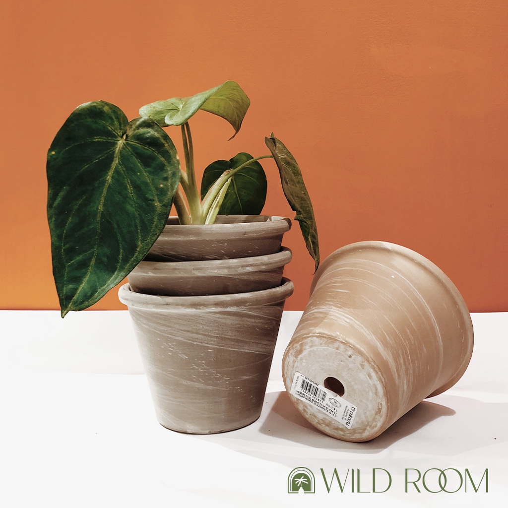 Wild Room｜現貨 義大利 陶盆 Deroma vaso duo 白陶/摩卡 紋理Ø17 21cm花器 花盆 盆器