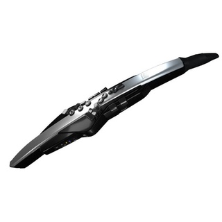 【帝米數位音樂】Roland Aerophone Pro / AE-30 電子吹管，電吹管，AE30