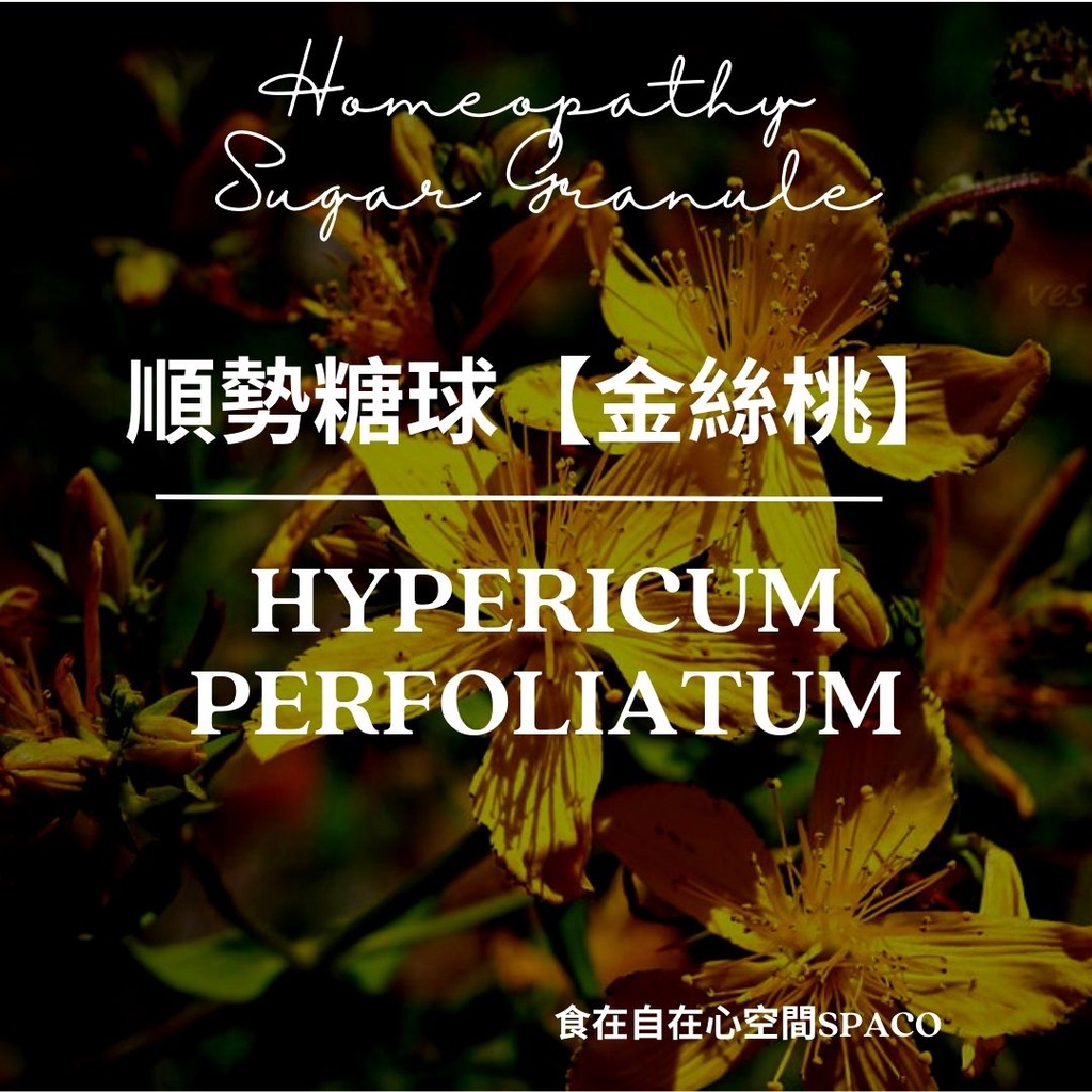 順勢糖球【金絲桃 貫葉連翹 聖約翰草Hypericum Perfoliatum】Homeopathic Granule