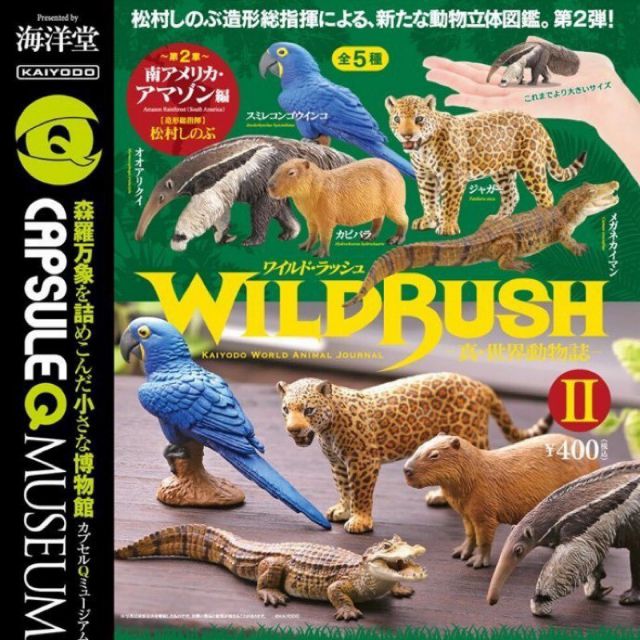 日本 日版 扭蛋 轉蛋 海洋堂 KAIYODO WILDRUSH 真・世界動物誌 第二彈 南美洲 亞馬遜 熱帶雨林