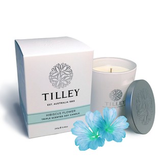 Tilley(百年特莉)-芙蓉花香氛大豆蠟燭240g