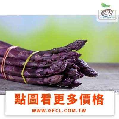 [禾康肥料]美國紫蘆筍種子(Purple Passion F1)