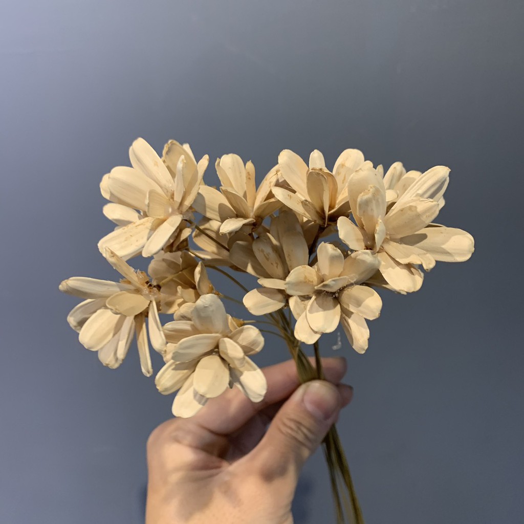 乾燥花 乾燥花材 索拉花 小雛菊 瓜子花 通草花 手工花 手作素材 乾燥花素材 蝦皮購物