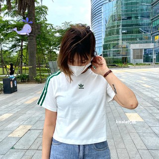 ADIDAS 愛迪達短版女生上衣棉T 刺繡小logo 三線短袖T恤綠線米白H56451 