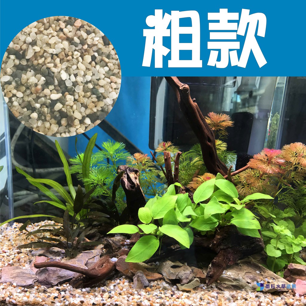 @墨耘@純正 美國矽砂 粗顆粒 7kg 水族底砂 細沙 細砂