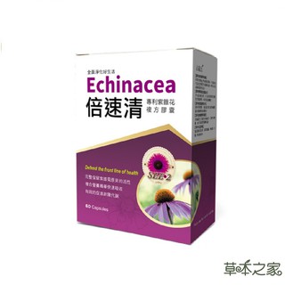 草本之家 倍速清專利紫錐花(60粒/盒) 紫錐菊 專利酵母 啤酒酵母 魚腥草 綠蜂膠 柑橘 增強體力 保健食品 營養品