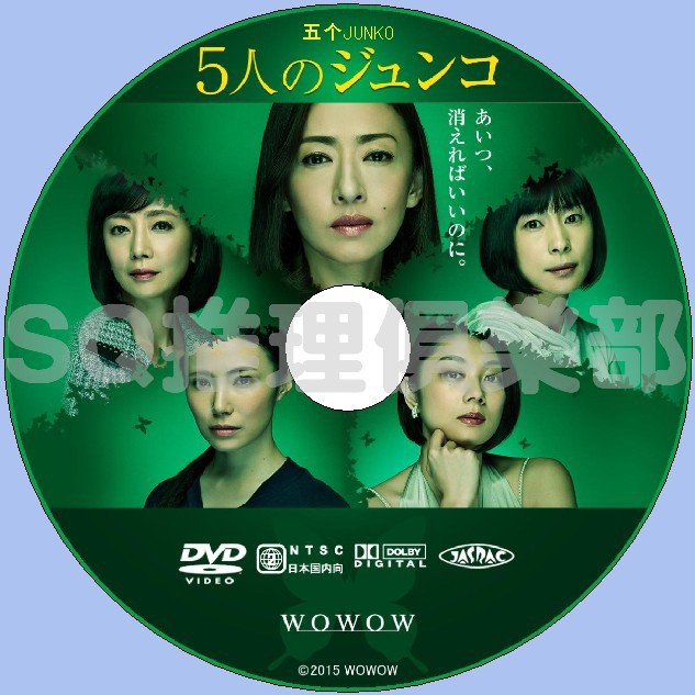 推理劇集15新懸疑劇dvd 五個junko 全5集 松雪泰子 米姆拉 西田尚美 Dvd 蝦皮購物