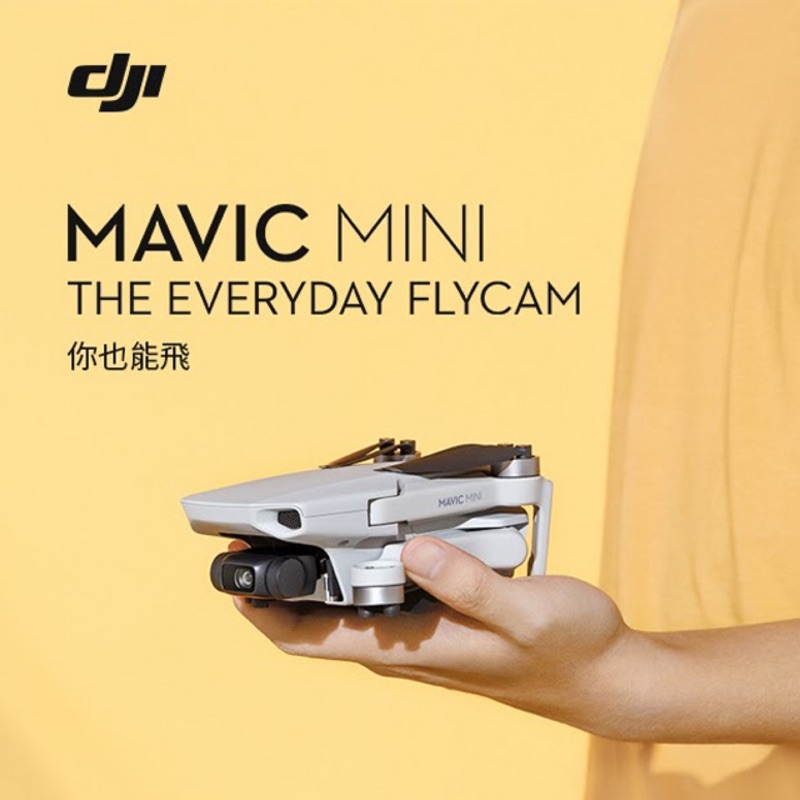 已賣出勿下標）DJI Mavic Mini 暢飛套裝 大疆無人機 空拍機 尾牙獎品