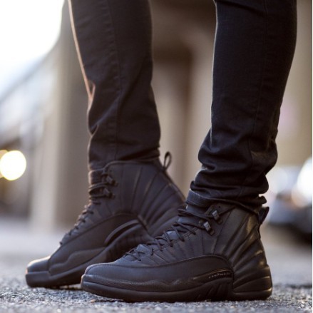 air jordan retro 12 wntr