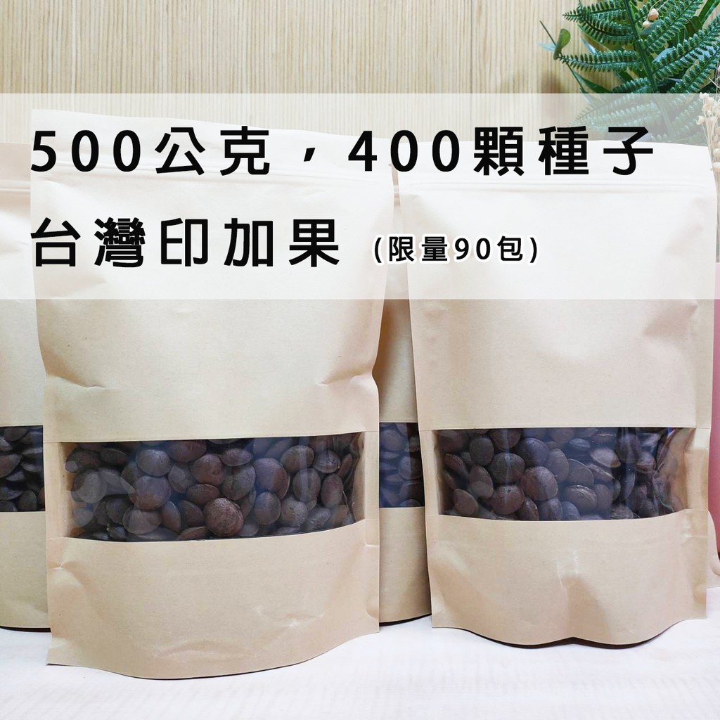 印加果 種子/黑籽/500g/台灣果/種植用 量大另議