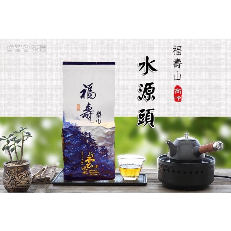 《福壽山_水源頭》高山茶/手採烏龍/烏龍茶/冬茶/春茶/伴手禮/禮盒/阿里山/杉林溪/梨山/福壽山/大禹嶺/翠峰