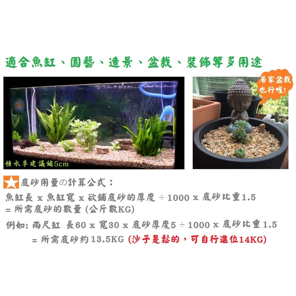 天然砂 荷蘭砂1公斤底砂培菌造景園藝細沙石頭砂石沙子荷蘭沙底沙 蝦皮購物