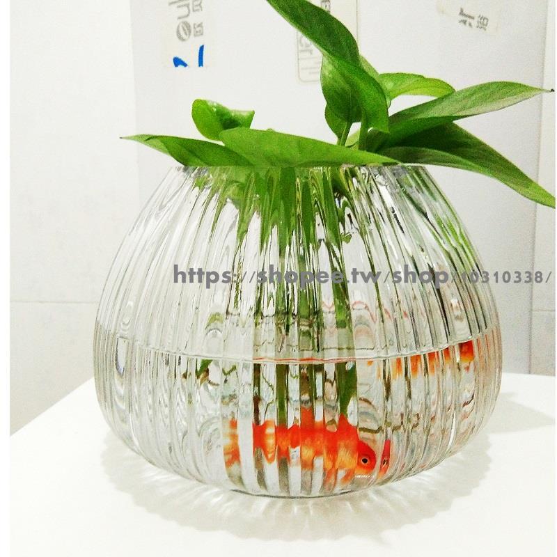 玻璃魚缸 桌面魚缸 花盆水培魚缸 魚缸球形玻璃透明龜缸小號加厚水培斗魚孔雀魚小金魚創意魚缸龜盆