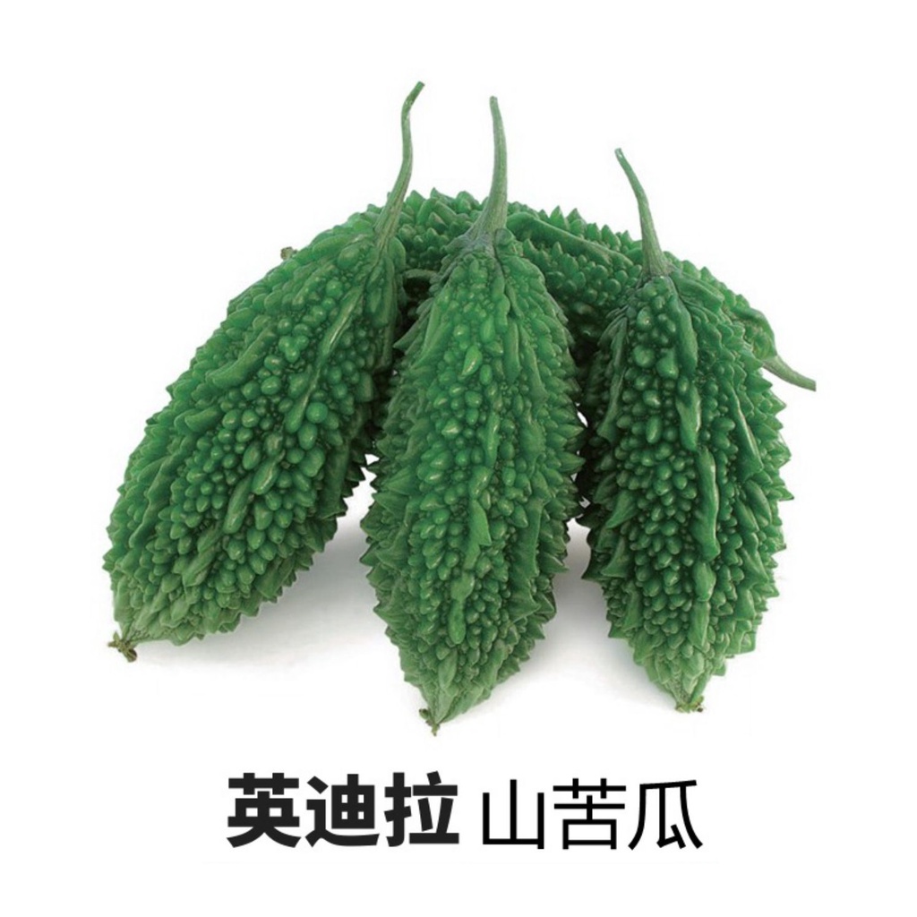 【大包裝蔬菜種子L014】英迪拉黑苦瓜~收穫期長，產量豐高播種至採收約62天，開花至採收約15天。