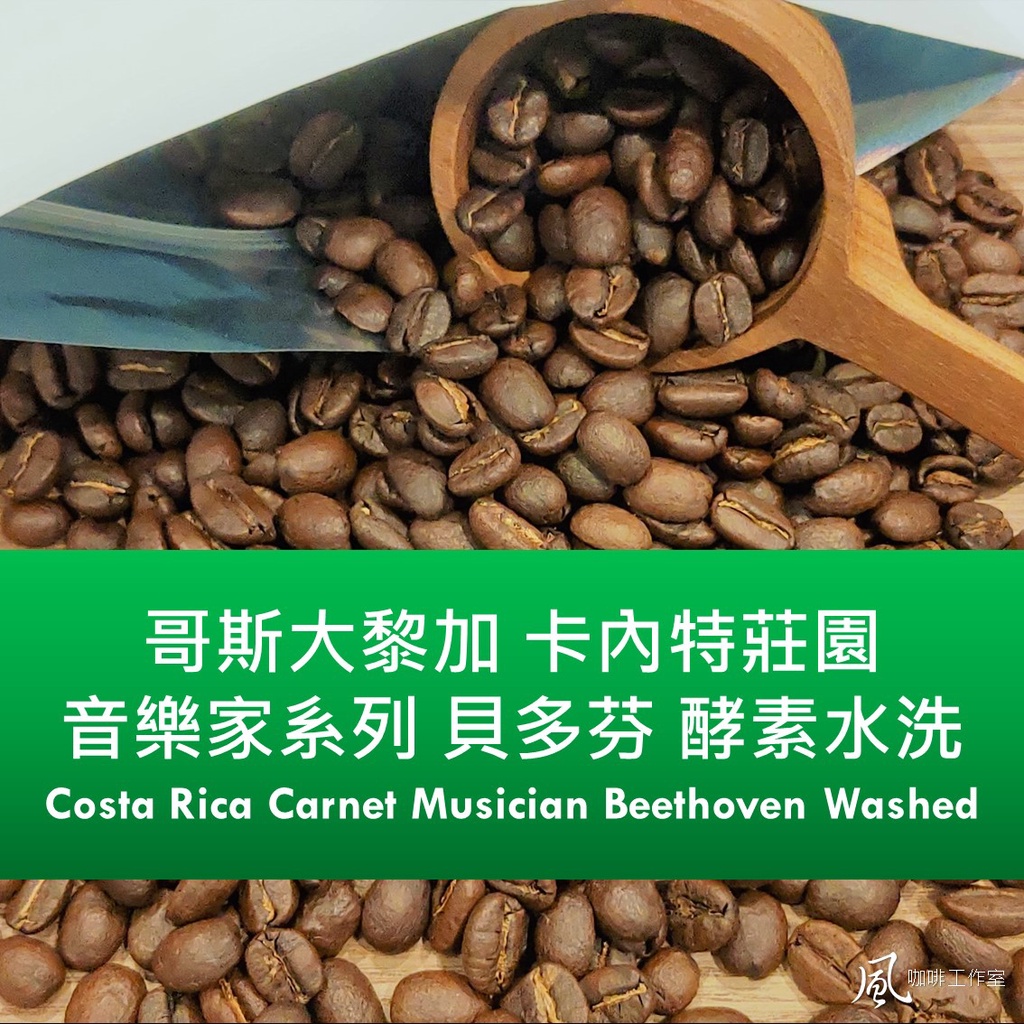 [風咖啡工作室]哥斯大黎加 音樂家 貝多芬 酵素水洗 2022產季 自家烘焙 莊園精品 咖啡豆 手沖單品 半磅裝