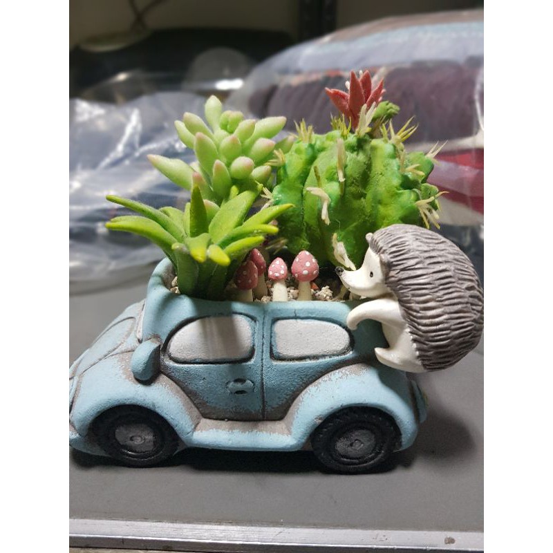 黏土作品多肉植物小車 蝦皮購物
