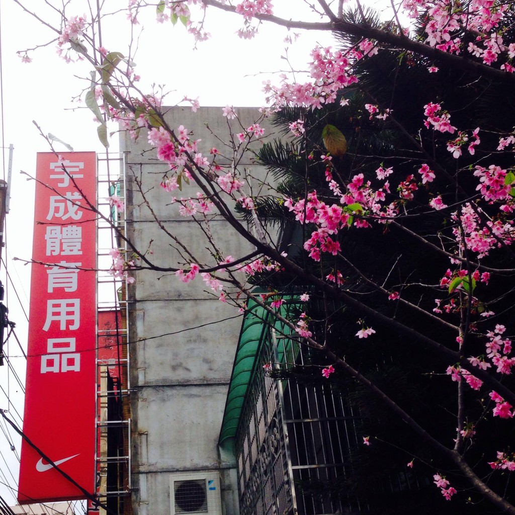 宇成體育用品yu Chen 線上商店 蝦皮購物