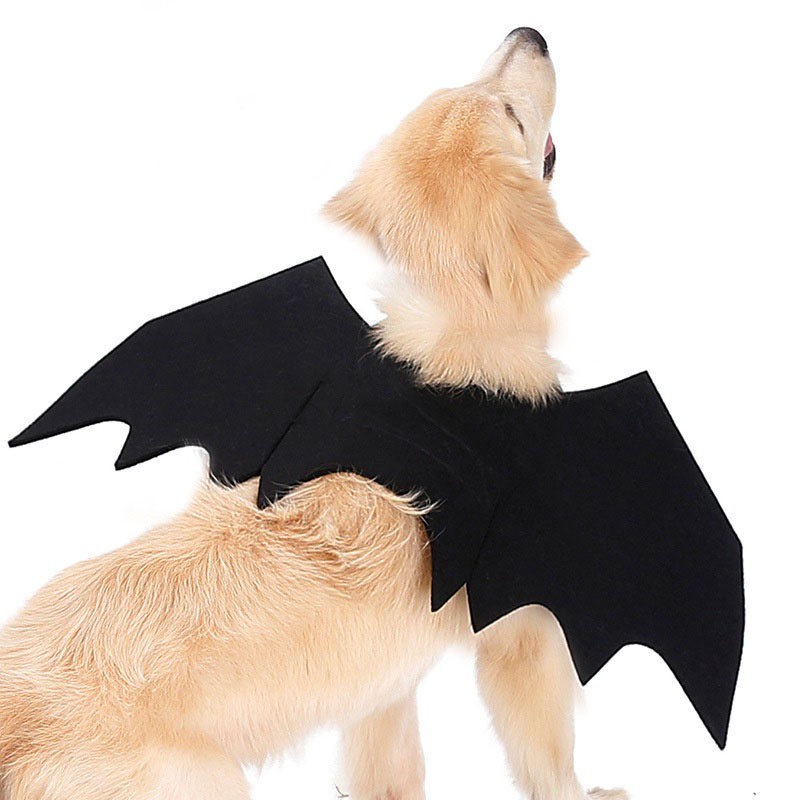 Pawsfun聖誕節搞怪寵物蝙蝠翅膀衣服 大狗金毛法鬥狗狗貓咪蝙蝠變身裝