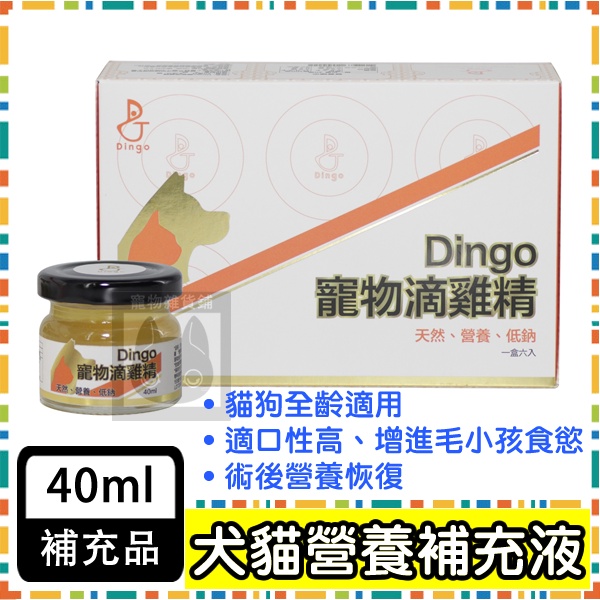 DINGO 寵物滴雞精 雞精 營養補充液 術後補充 老犬補充  40ml