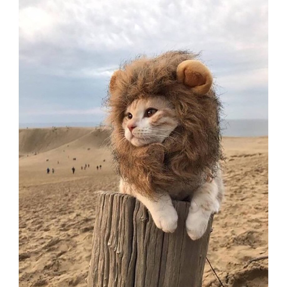 「崴崴」現貨 寵物 扮萌神器 貓狗獅子頭套 假髮帽子 貓裝飾