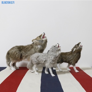 動物標本 優惠推薦 21年9月 蝦皮購物台灣