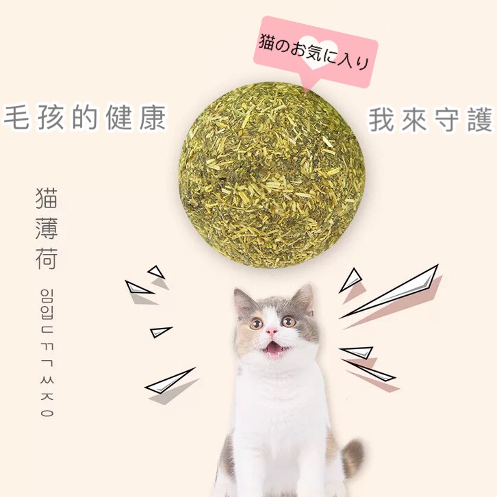 Furmily毛呸寵物 現貨貓薄荷球貓草球貓草貓咪用品貓薄荷草貓薄荷貓玩具貓咪玩具貓咪薄荷球貓用品 蝦皮購物
