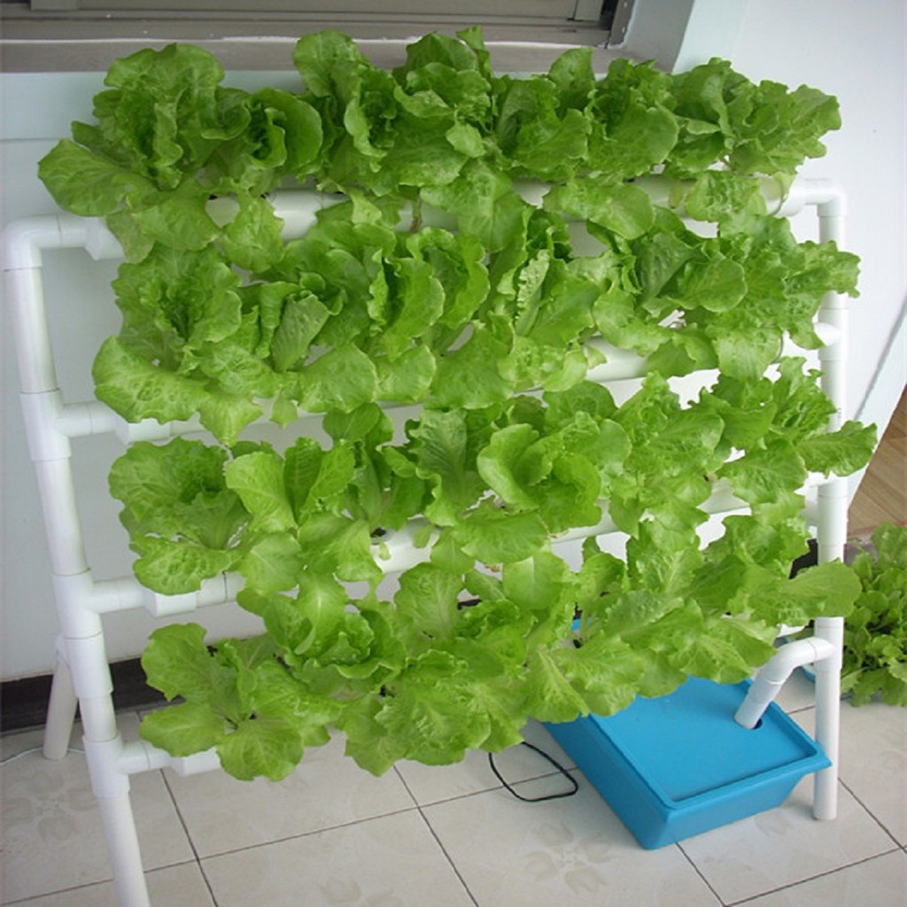 無土栽培設備陽臺種菜神器無土栽培蔬菜水培水耕種植架管道種菜機 蝦皮購物