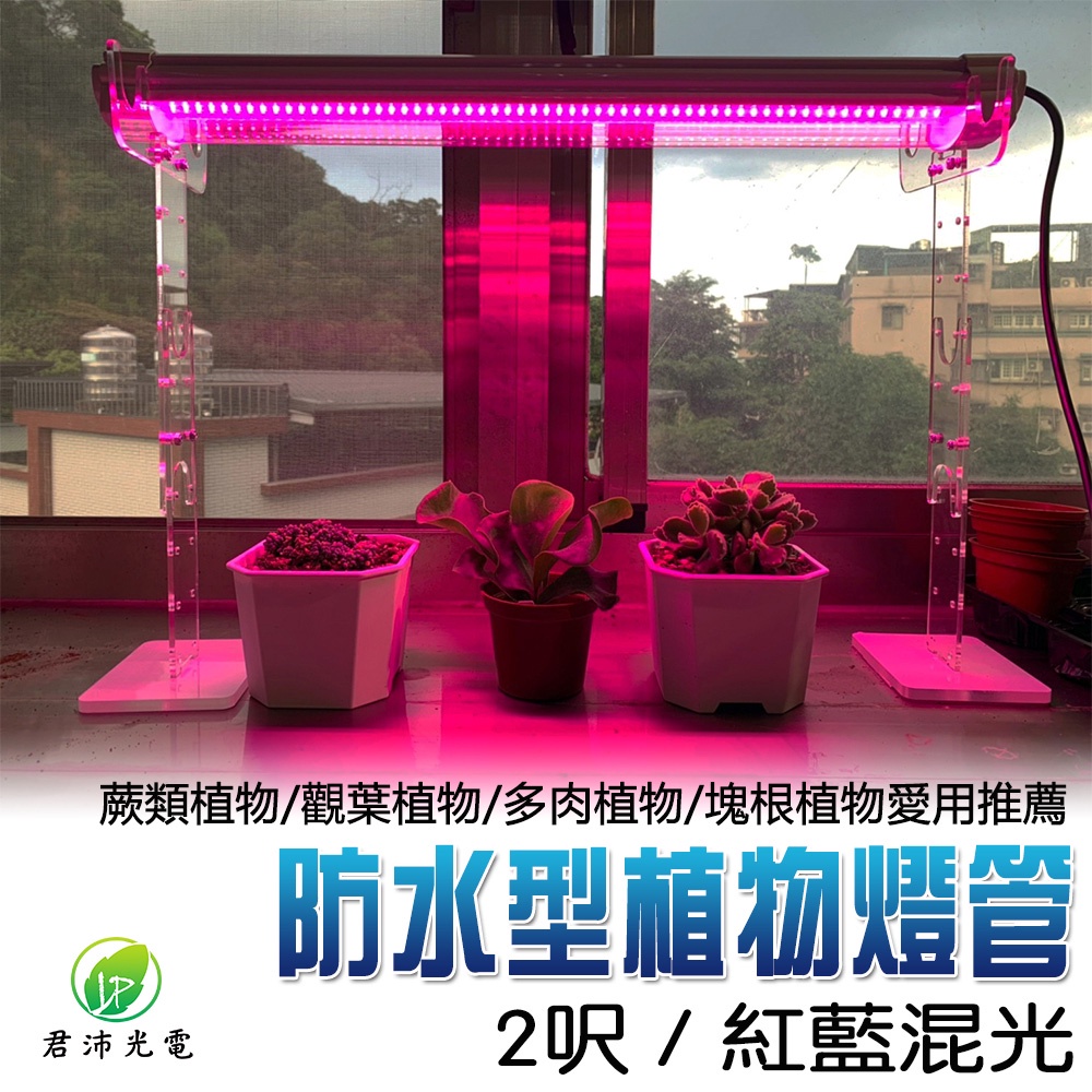 【君沛植物燈】LED植物燈 2呎25W 紅藍混光 防水植物燈(三防燈) 植物生長燈 多肉 塊根 龍舌蘭 觀葉 鹿角蕨