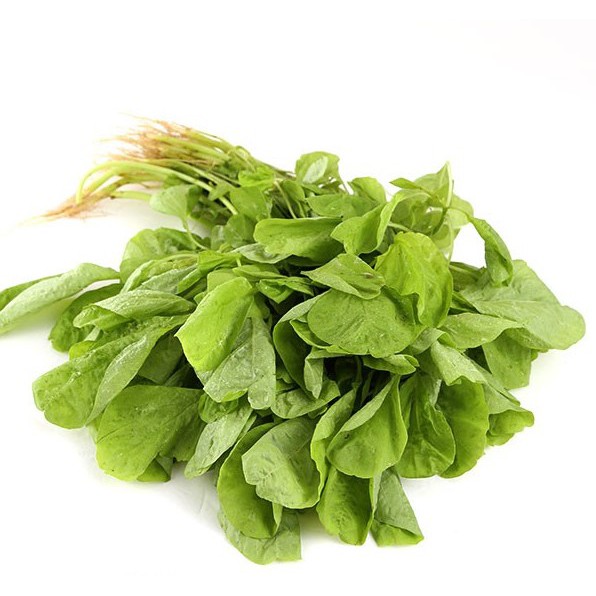 青白杏菜種子青白杏菜青白莧菜種子青白莧菜莧菜種子莧菜蔬菜種子 農產種子郵購讚 蝦皮購物