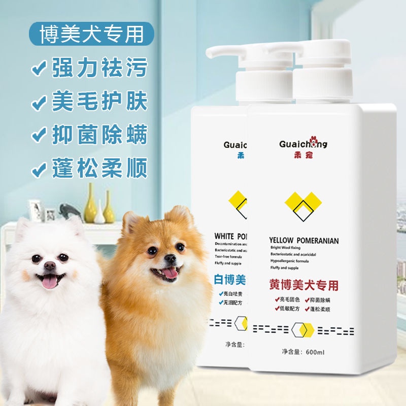 博美專用 優惠推薦 21年11月 蝦皮購物台灣