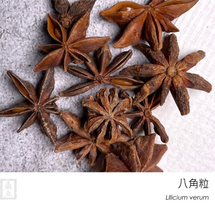 鼎立嚴選辛香料 八角粒 香料系列 調味香辛料 廚房料理必備 蝦皮購物