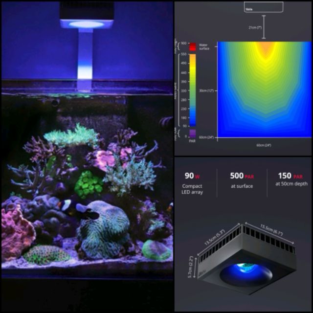彩虹騎士免運 以色列redsea紅海專業海水珊瑚生長燈 90w Sps Lps 海水缸 海水燈 海水素 海水魚 蝦皮購物