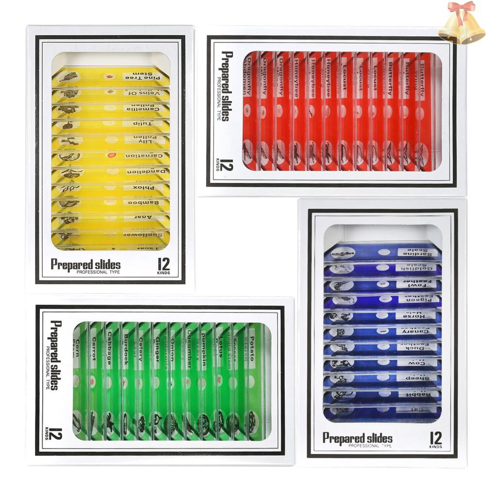 48件套顯微鏡生物塑料切片植物動物昆蟲組織切片英文標籤顯微鏡玻片 蝦皮購物