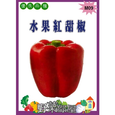 【野菜部屋~】M09 水果紅甜椒種子3粒 ,食味佳 ,果肉厚實,每包16元~