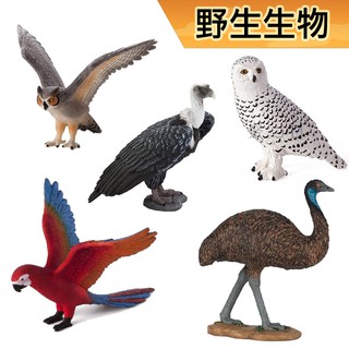 玩得購【MOJO FUN 動物模型】動物星球 野生動物-鳥類/大角貓頭鷹/貓頭鷹/雪鴞/食火雞/鸚鵡/兀鷹/紅鶴