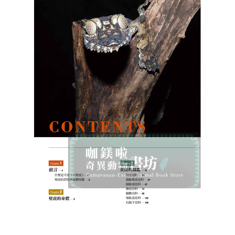 守宮夥伴超圖鑑 零基礎飼養入門 日翻中 蝦皮購物