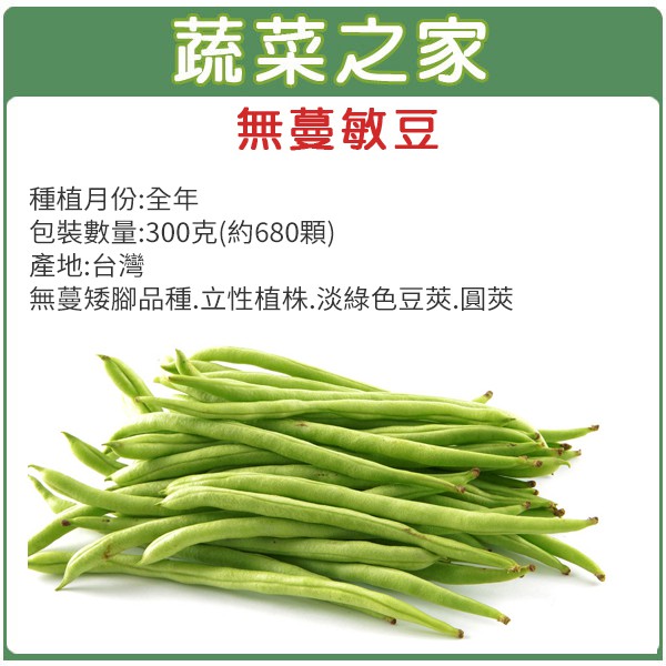 無蔓敏豆種子的價格推薦 21年9月 比價比個夠biggo