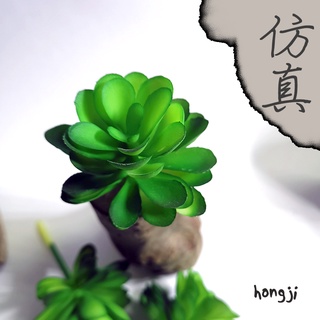 多肉 模擬多肉 微景觀 P74 假多肉植物 辦公室小物 療癒紓壓生日禮物拍照道具居家裝飾咖啡屋商店擺飾迷你木頭底座盆栽