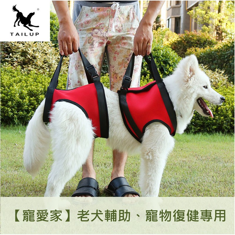 寵物輔助帶行走輔助帶老犬介護寵物復健高齡犬年長犬行動不便殘疾 寵愛家 蝦皮購物