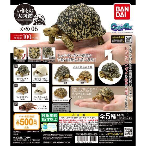 [可可扭蛋] BANDAI 烏龜環保扭蛋P5-豹龜篇 轉蛋 扭蛋 豹龜 生物 公仔 日本 全五種