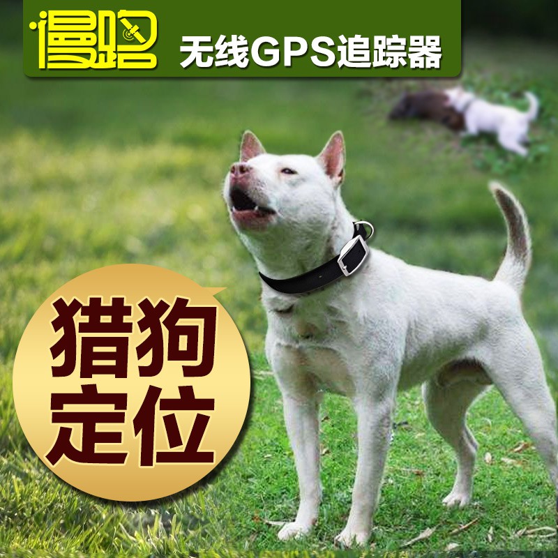 衛星犬追蹤器的價格推薦 21年4月 比價比個夠biggo