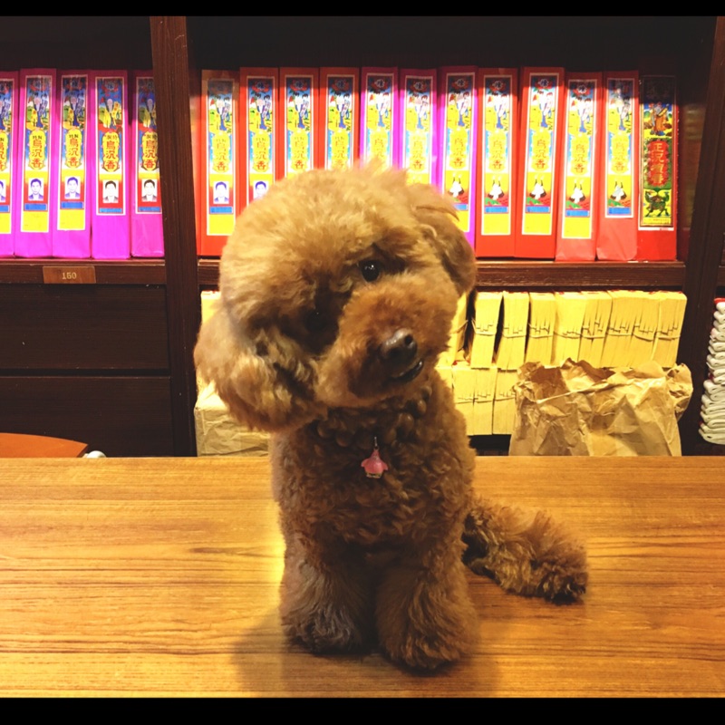 台製全新品b型直流調速器1 2hp 110v 附轉速表 直流控速器 直流調速器 有刷馬達適用 單相馬達 直流馬達 蝦皮購物